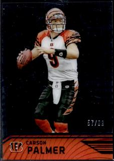 Carson Palmer