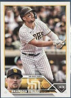 Brandon Drury