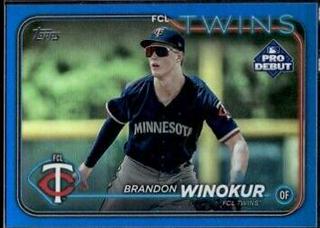 Brandon Winokur