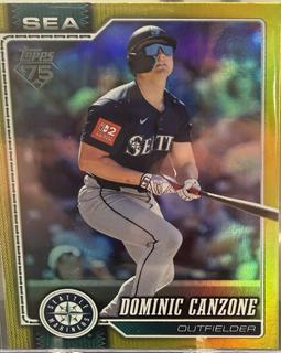 Dominic Canzone