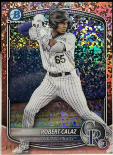 Robert Calaz