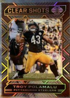 Troy Polamalu