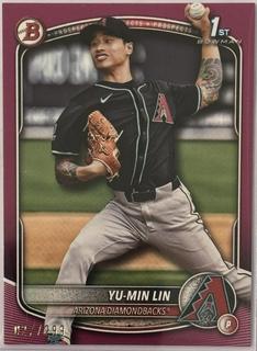 Yu-Min Lin