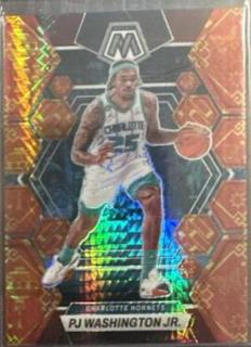 PJ Washington Jr.