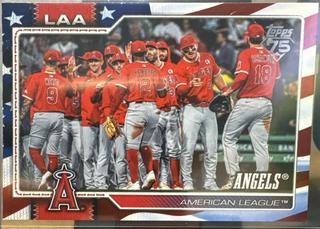 Team Card