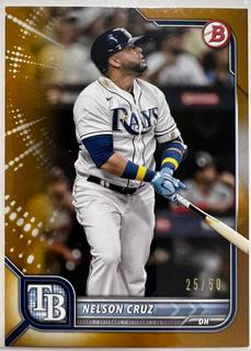 Nelson Cruz