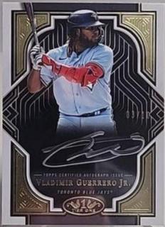 Vladimir Guerrero Jr.