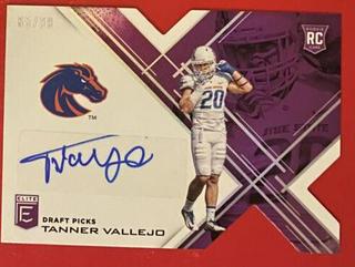 Tanner Vallejo