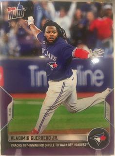 Vladimir Guerrero / Vladimir Guerrero Jr.