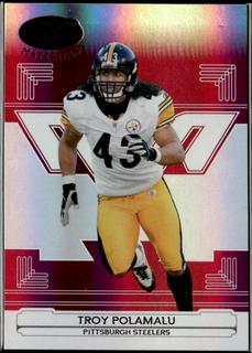 Troy Polamalu