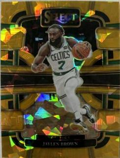 Jaylen Brown