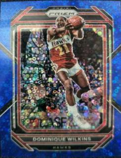 Dominique Wilkins