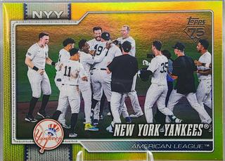 Team Card