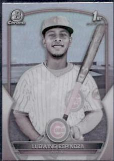 Ludwing Espinoza