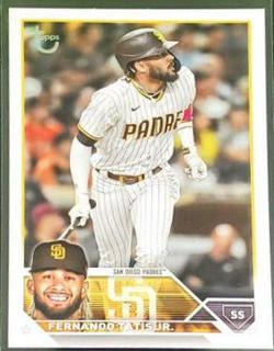 Fernando Tatis Jr.