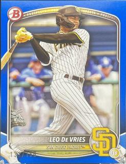 Leo De Vries