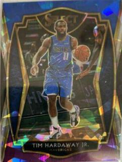 Tim Hardaway Jr.