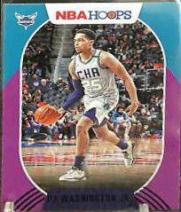 PJ Washington Jr.