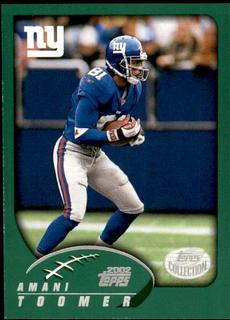Amani Toomer