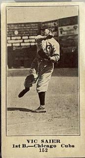 Vic Saier