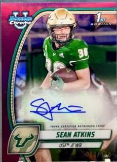 Sean Atkins