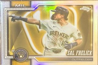 Sal Frelick