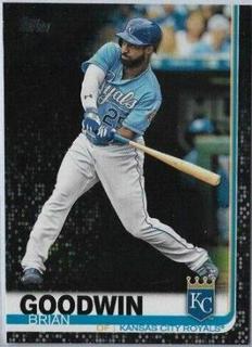 Brian Goodwin