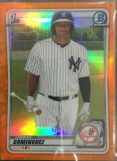 Jasson Dominguez
