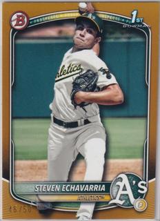 Steven Echavarria