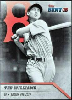 Ted Williams