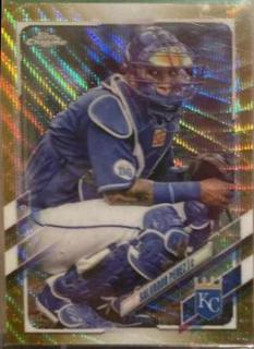 Salvador Perez