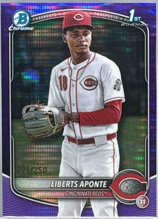 Liberts Aponte