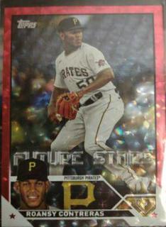 Roansy Contreras