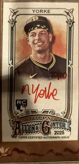 Nick Yorke