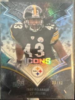 Troy Polamalu