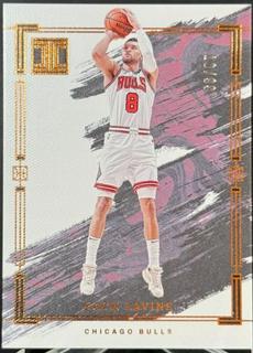 Zach LaVine