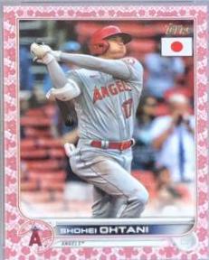 Shohei Ohtani