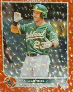 Yan Gomes
