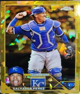 Salvador Perez