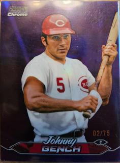 Johnny Bench