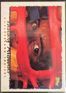 Sandy Alomar