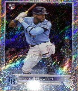Vidal Brujan
