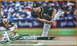 Liam Hendricks
