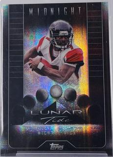 Michael Vick