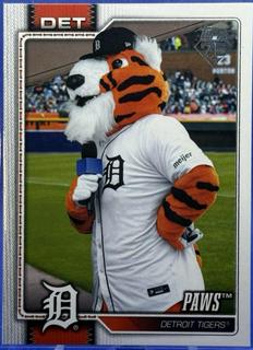 Paws Detroit Tigers