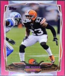 Joe Haden