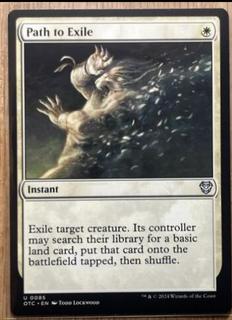 Path to Exile
