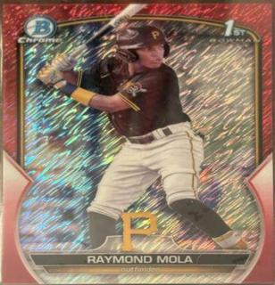 Raymond Mola