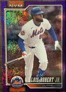 Luis Robert Jr.