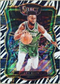 Jaylen Brown